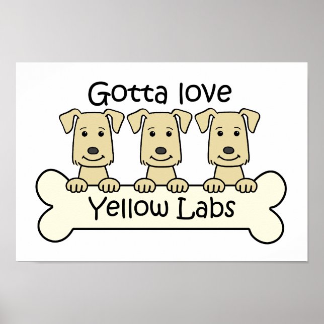 Three Yellow Labs Poster (Front)