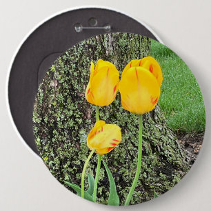 Three Yellow Tulips / 6 Cm Round Badge