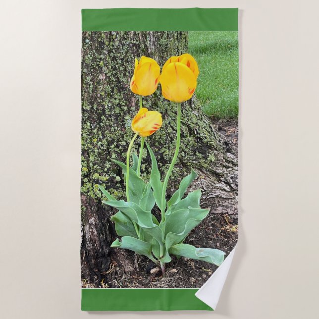 Three Yellow Tulips / Beach Towel (Front)