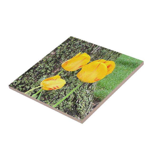 Three Yellow Tulips / Ceramic Tile (Side)