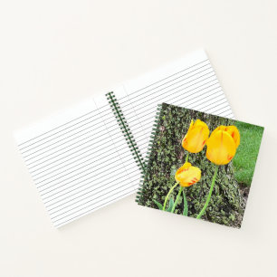 Three Yellow Tulips / Journal