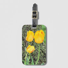 Three Yellow Tulips /