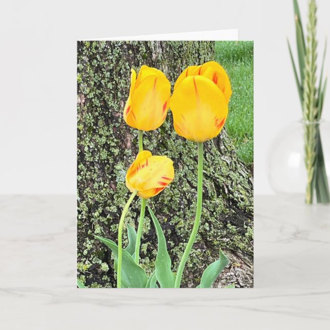 Three Yellow Tulips / Note Card (Front)