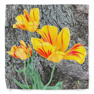 Three Yellow Tulips Sequel /  Bandana