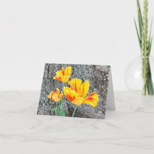 Three Yellow Tulips Sequel / Folded Note Card