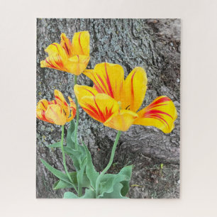 Three Yellow Tulips Sequel /  Jigsaw Puzzle