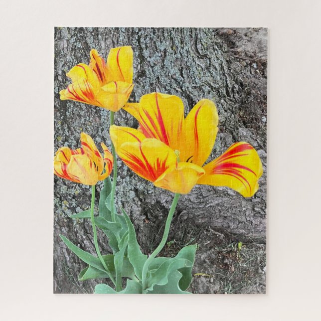 Three Yellow Tulips Sequel /  Jigsaw Puzzle (Vertical)