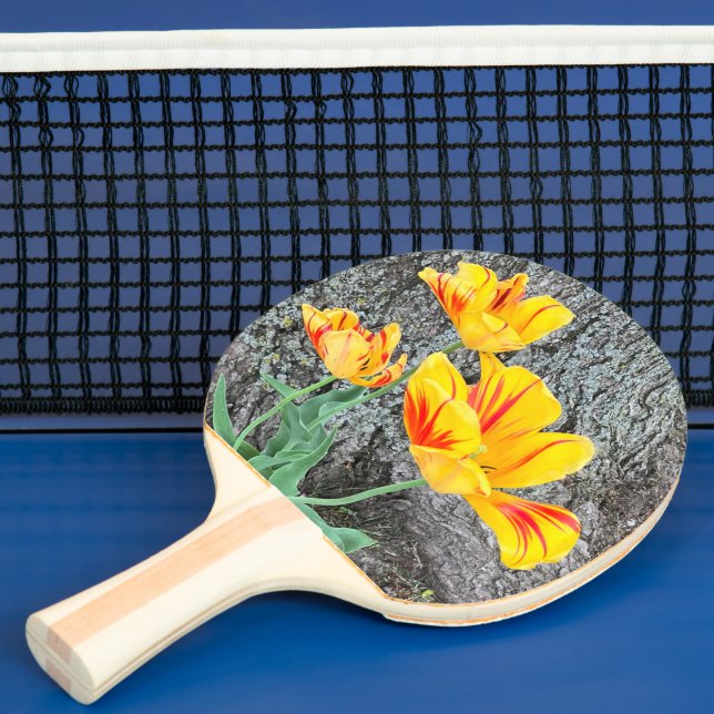 Three Yellow Tulips Sequel / Ping Pong Paddle (Insitu)