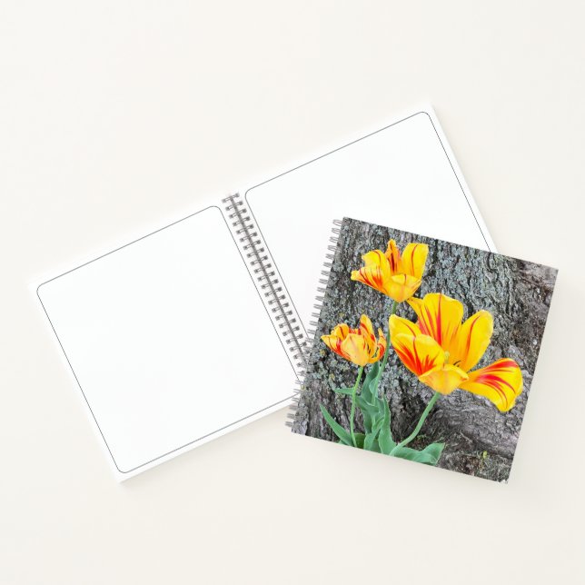 Three Yellow Tulips Sequel / Sketch Notebook (Inside)