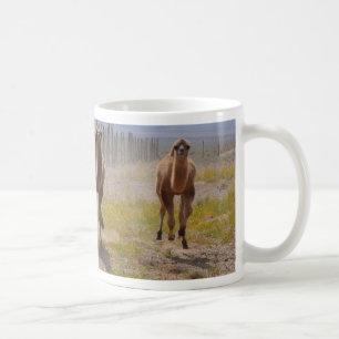 Three young camels coffee mug