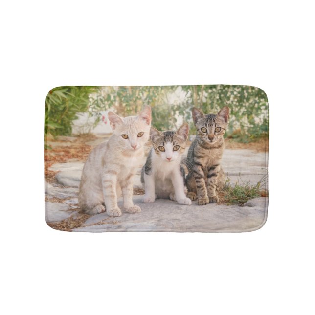 Three young cute cat kittens sit friendly together bath mat (Front)