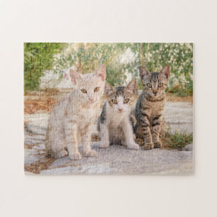 Three young cute cat kittens sit friendly together jigsaw puzzle