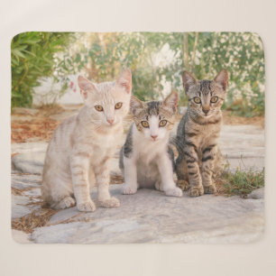 Three young cute cat kittens sit friendly together sherpa blanket