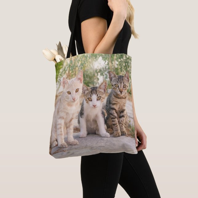 Three young cute cat kittens sit friendly together tote bag (Close Up)