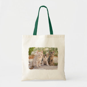 Three young cute cat kittens sit friendly together tote bag
