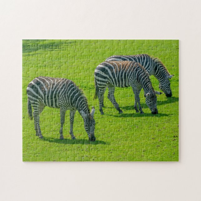 Three Zebras Jigsaw Puzzle (Horizontal)
