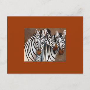Three Zebras Postcard