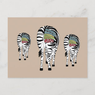 Three zebras postcard