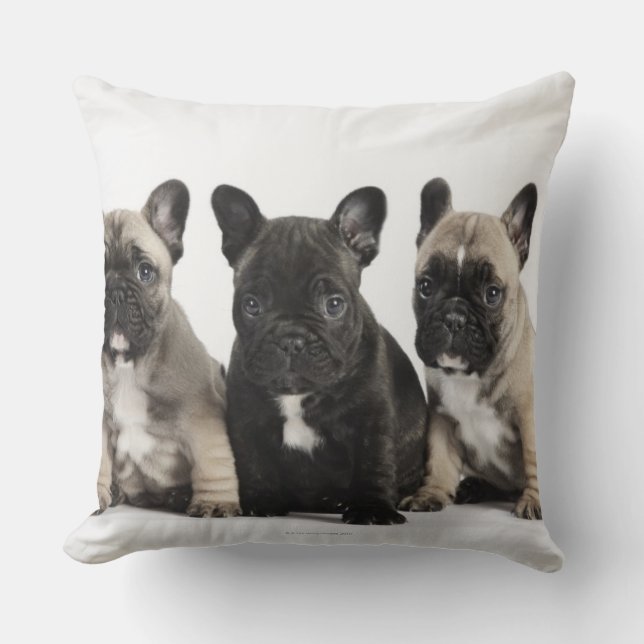 Threee Pedigree Puppies Cushion (Front)