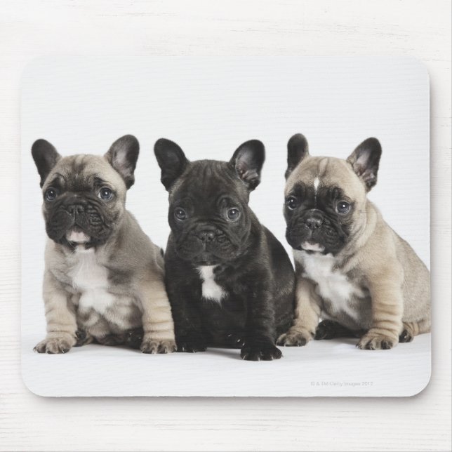 Threee Pedigree Puppies Mouse Pad (Front)