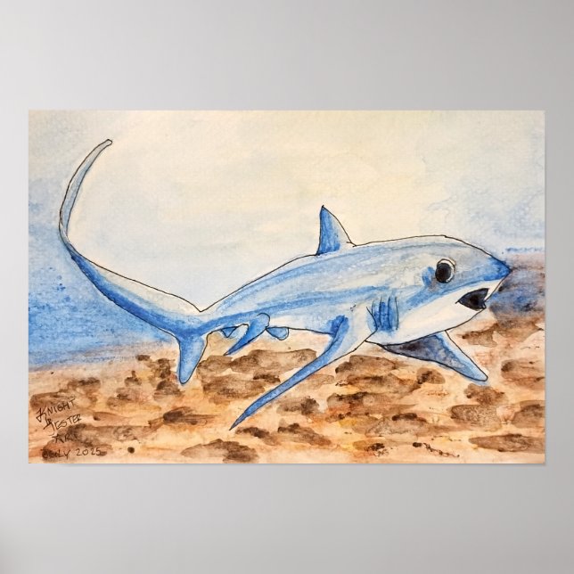 Thresher Shark Poster (Front)
