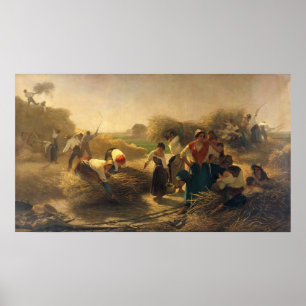 Threshing Rapeseed in the Fields of Lille Poster
