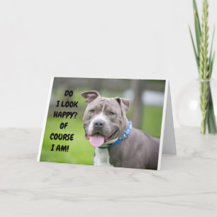 *THRILLED DOG SENDS CONGRATULATIONS TO YOU* CARD