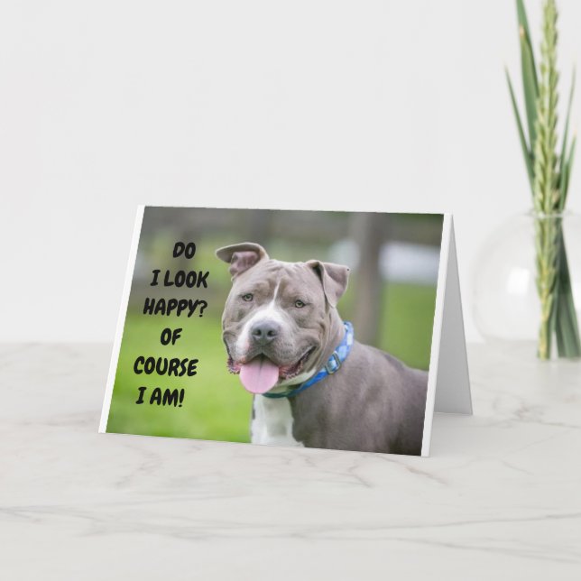 *THRILLED DOG SENDS CONGRATULATIONS TO YOU* CARD (Front)