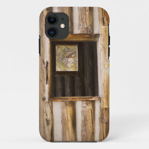 Through and Through Cabin Window iPhone 11 Case