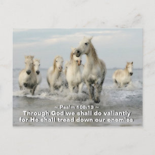 Through God we shall do Valiantly Psalm 108:13 Postcard