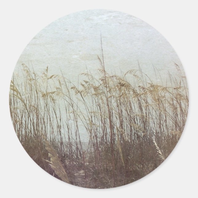 Through the Dunes II Classic Round Sticker (Front)