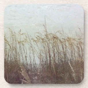 Through the Dunes II Coaster