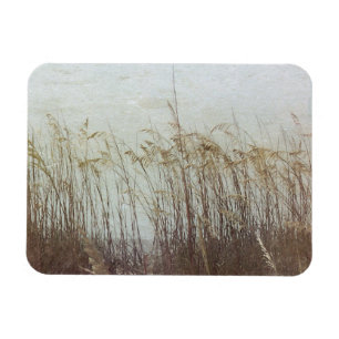 Through the Dunes II Magnet