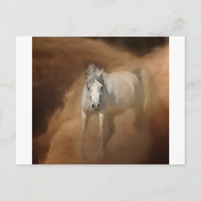 Through the dust storm postcard (Front)