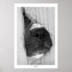 Through the Fence Poster