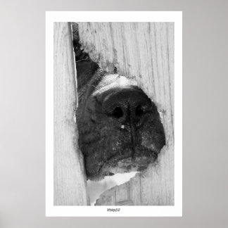 Through the Fence Poster