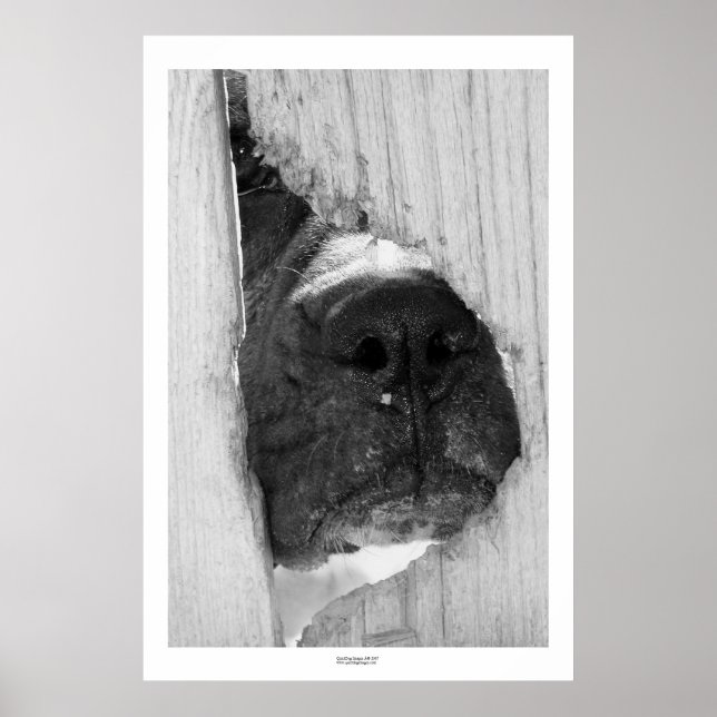 Through the Fence Poster (Front)