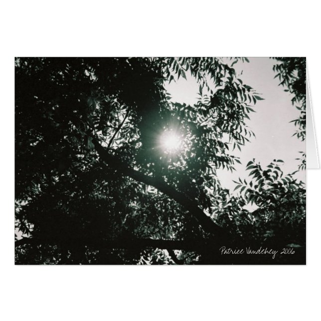 Through The Looking Glass (Front Horizontal)