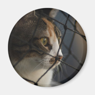 Through the Net: A Calico Cat’s Contemplative View Magnet