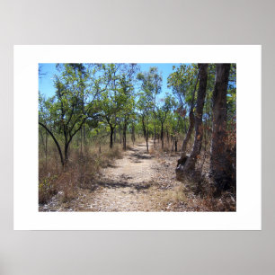 Through the Trees Australia Colour Photography Poster