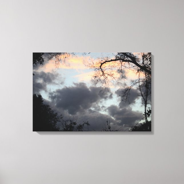 Through the Trees Canvas Print (Front)