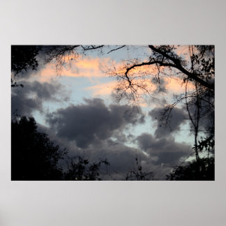 Through the Trees Poster