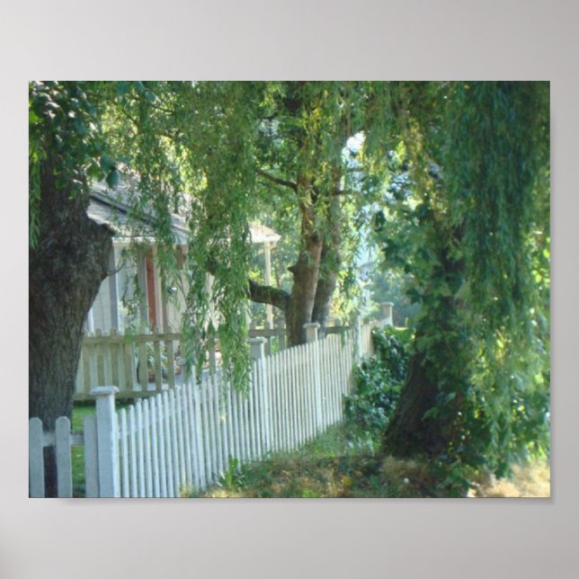 Through The Weeping Willow Poster (Front)