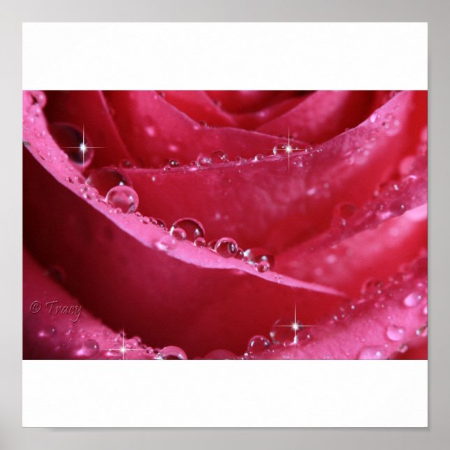 Through The Window Of Light Poster (Front)