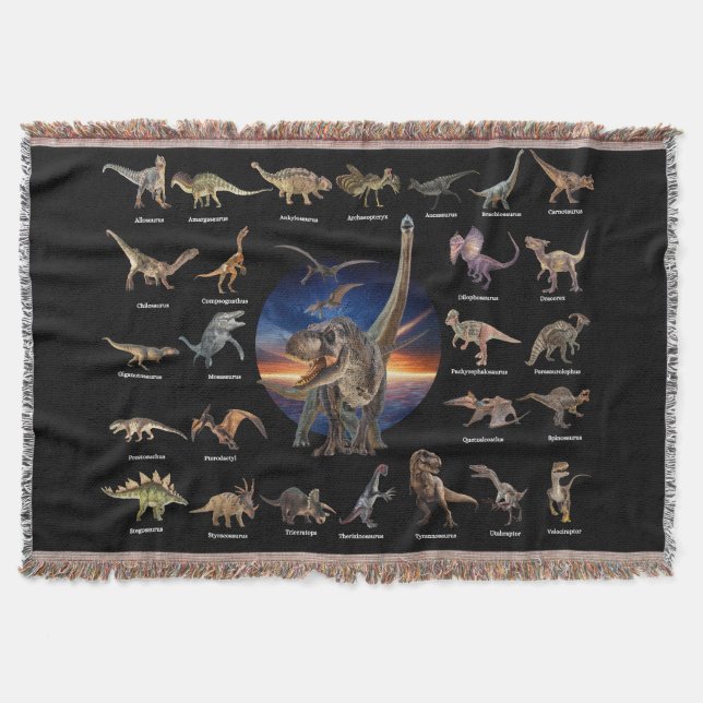 Throw Blanket (Front)