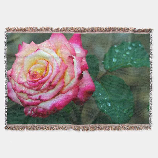 Throw Blanket/Pink Rose with Morning Dew Blanket (Front)