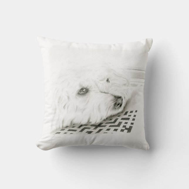 Throw Cushion, Throw Cushion 41 x 41 cm (Front)