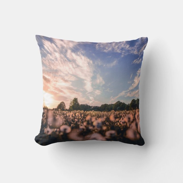 Throw Pillow (Front)