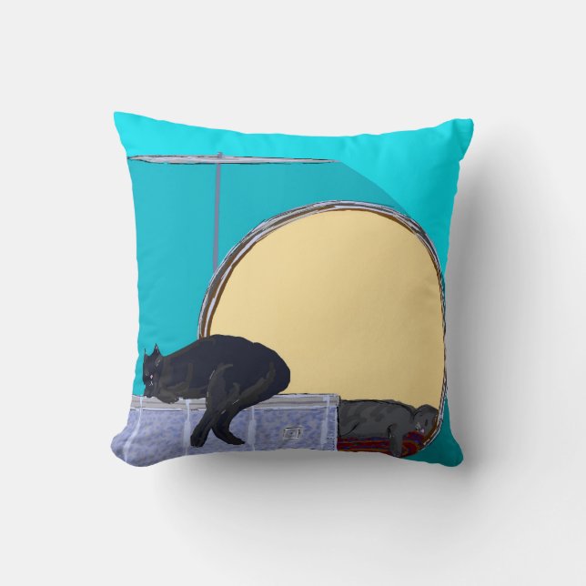 Throw Pillow (Front)