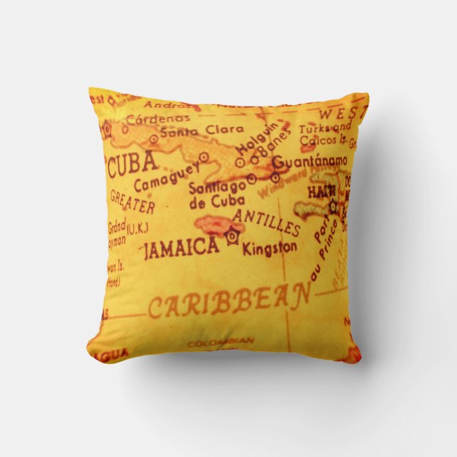 Throw Pillow (Front)